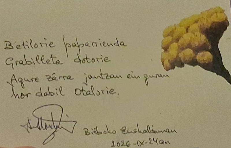 Anttonmari Aldekoa-Otalora Zamalloak eskutitza